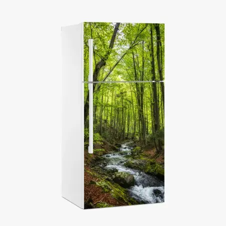 Adesivo per frigorifero torrente nel bosco primaverile • Wallissimo®