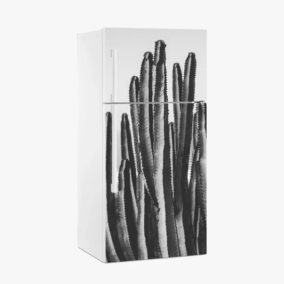 Adesivo per frigorifero cactus in bianco e nero dettaglio verticale • Wallissimo®