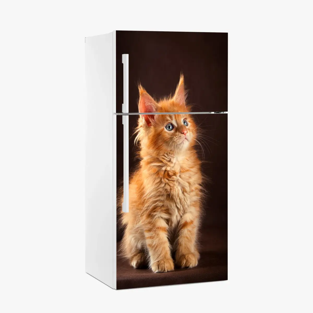 Adesivo per frigorifero gattino arancione dal manto soffice e occhi azzurri • Wallissimo®