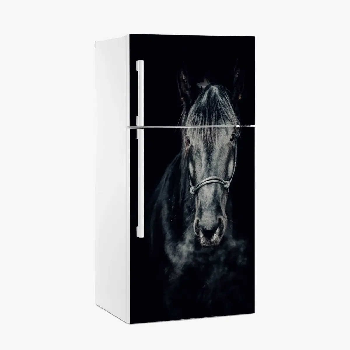 Adesivo per frigorifero sguardo d'inverno: ritratto di cavallo nero • Wallissimo®