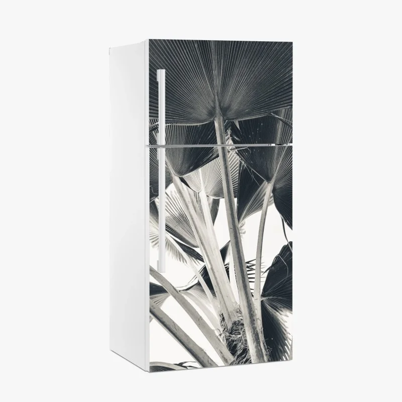 Adesivo per frigorifero dettaglio di palme a ventaglio in bianco e nero