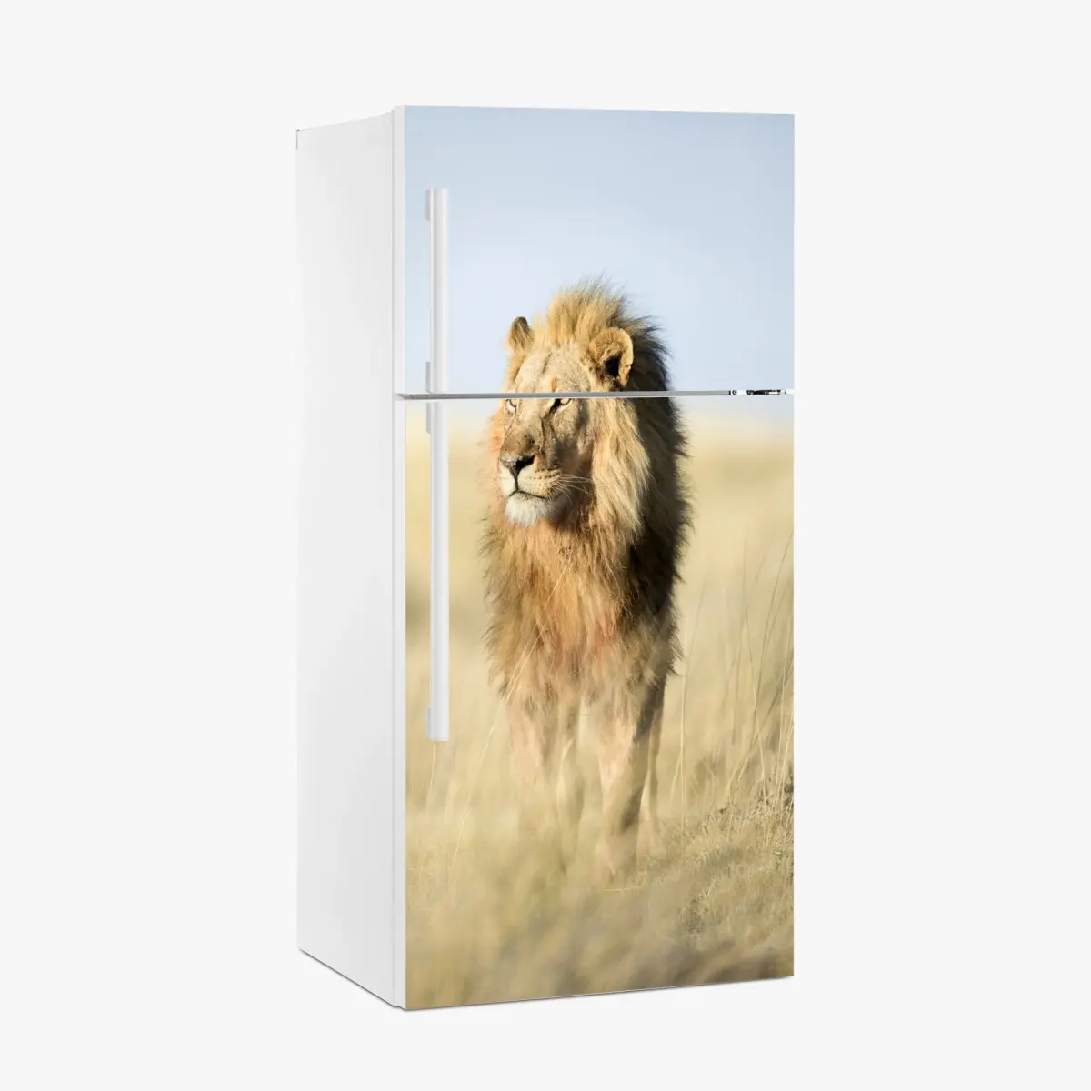 Adesivo per frigorifero il re della savana • Wallissimo®