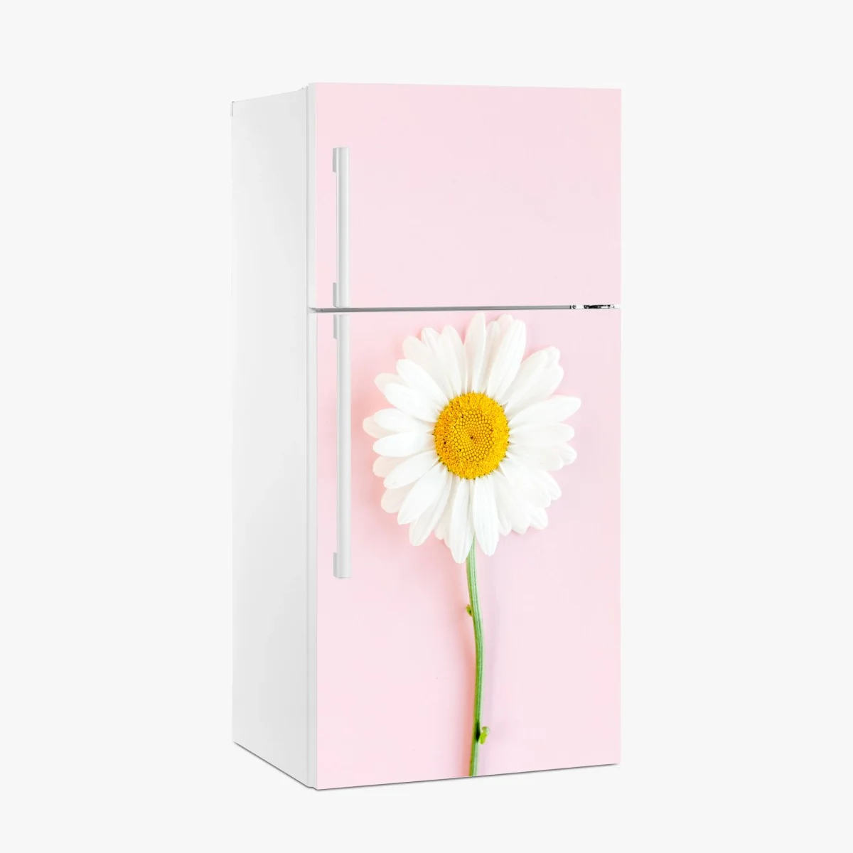 Adesivo per frigorifero margherita su sfondo rosa pastello • Wallissimo® Adesivo per frigorifero margherita su sfondo rosa pastello • Wallissimo®