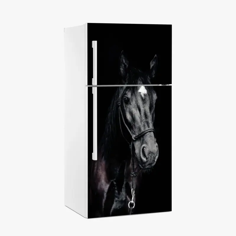 Adesivo per frigorifero ritratto elegante di cavallo su sfondo scuro