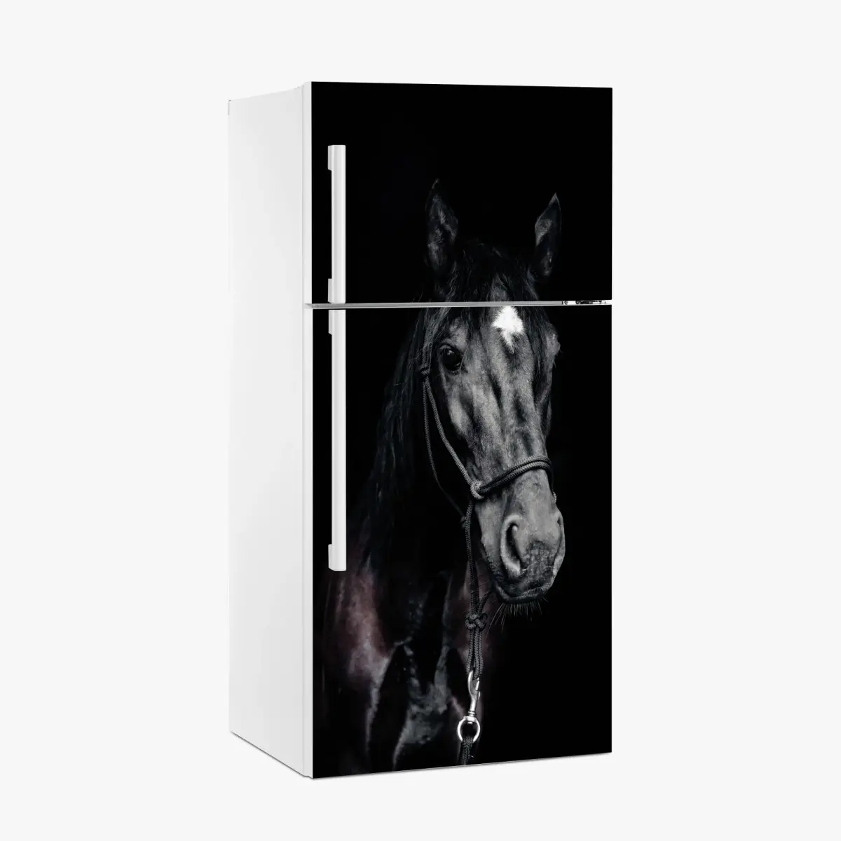 Adesivo per frigorifero ritratto elegante di cavallo su sfondo scuro • Wallissimo®