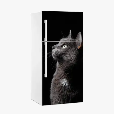 Adesivo per frigorifero ritratto etereo di gatto grigio • Wallissimo®