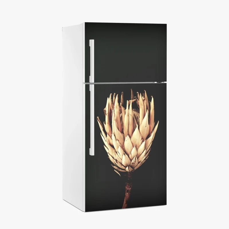 Adesivo per frigorifero protea essiccata su sfondo scuro, botanica minimal