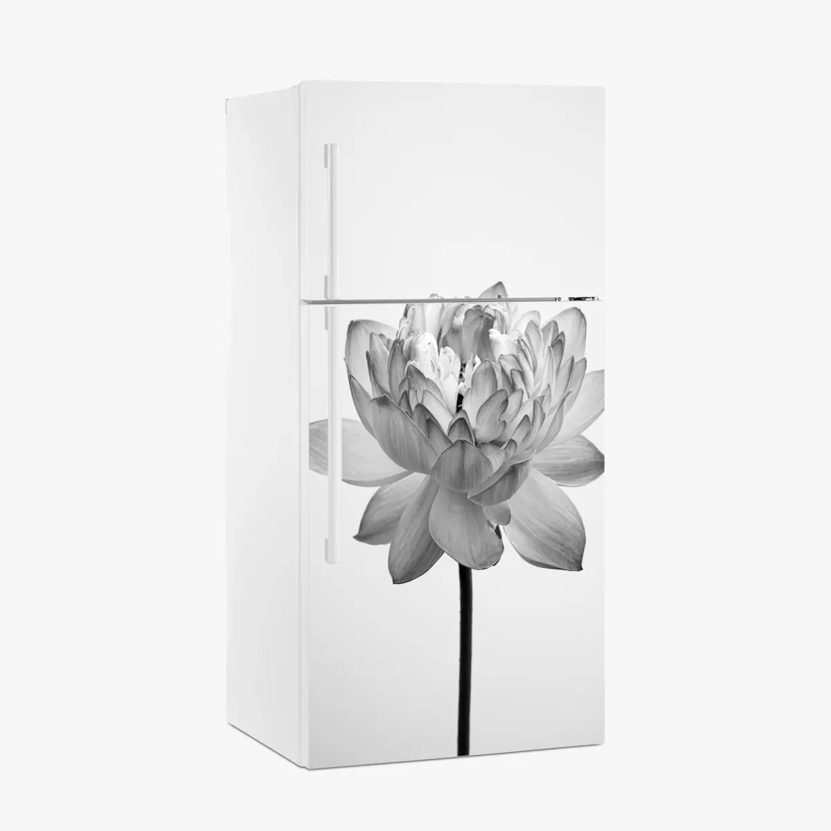 Adesivo per frigorifero fioritura di loto in bianco e nero • Wallissimo® Adesivo per frigorifero fioritura di loto in bianco e nero • Wallissimo®