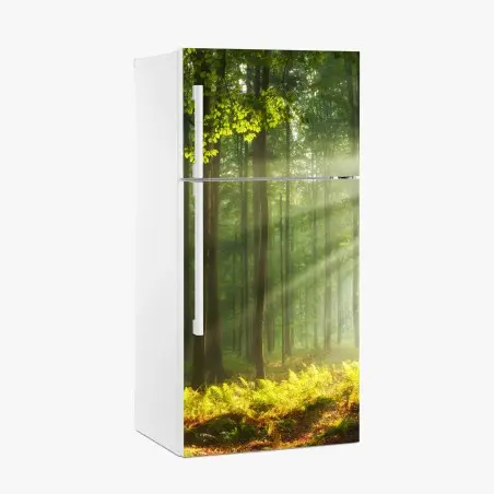 Adesivo per frigorifero mattina autunnale nella foresta antica • Wallissimo®
