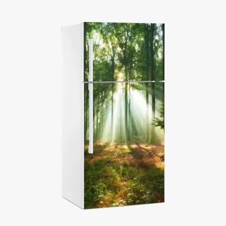 Adesivo per frigorifero mattino nel bosco: raggi di luce tra gli alberi • Wallissimo®