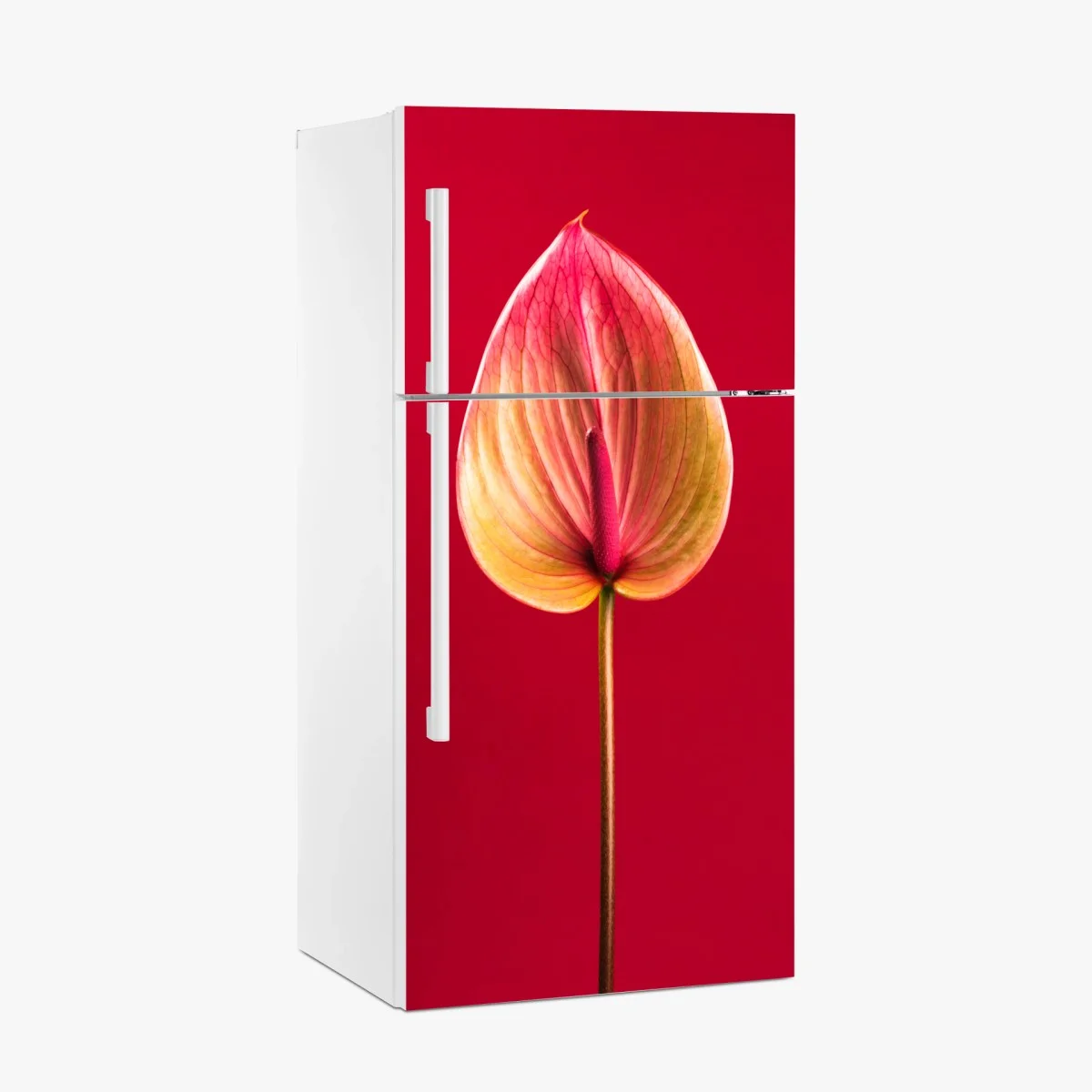 Adesivo per frigorifero anturio su sfondo rosso in stile botanico minimalista • Wallissimo® Adesivo per frigorifero anturio su sfondo rosso in stile botanico minimalista • Wallissimo®