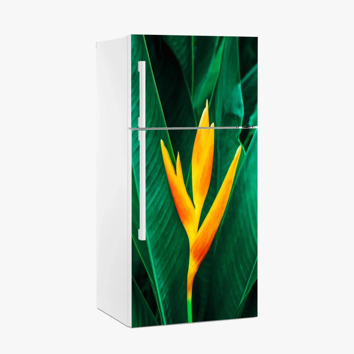 Adesivo per frigorifero eleganza tropicale: fiore giallo su foglie verdi • Wallissimo® Adesivo per frigorifero eleganza tropicale: fiore giallo su foglie verdi • Wallissimo®