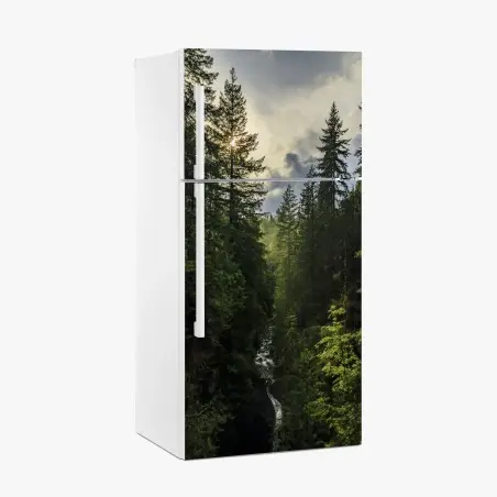 Adesivo per frigorifero luce dorata nella gola della foresta • Wallissimo®