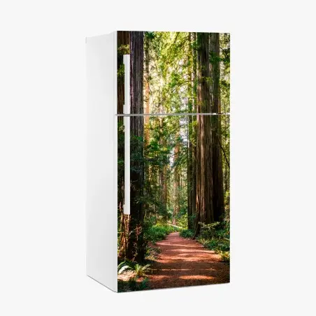 Adesivo per frigorifero sentiero tra le sequoie maestose • Wallissimo®