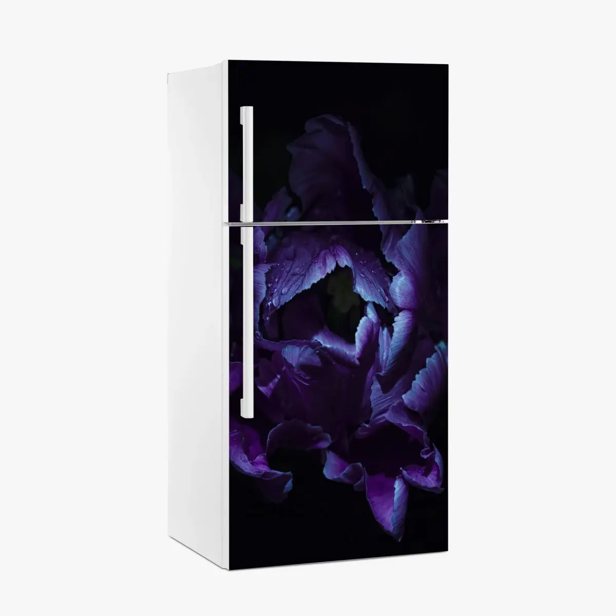Adesivo per frigorifero tulipano viola in luce ultravioletta • Wallissimo®