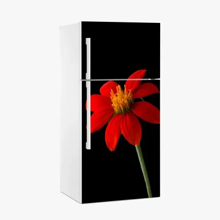 Adesivo per frigorifero girasole messicano su sfondo nero • Wallissimo®