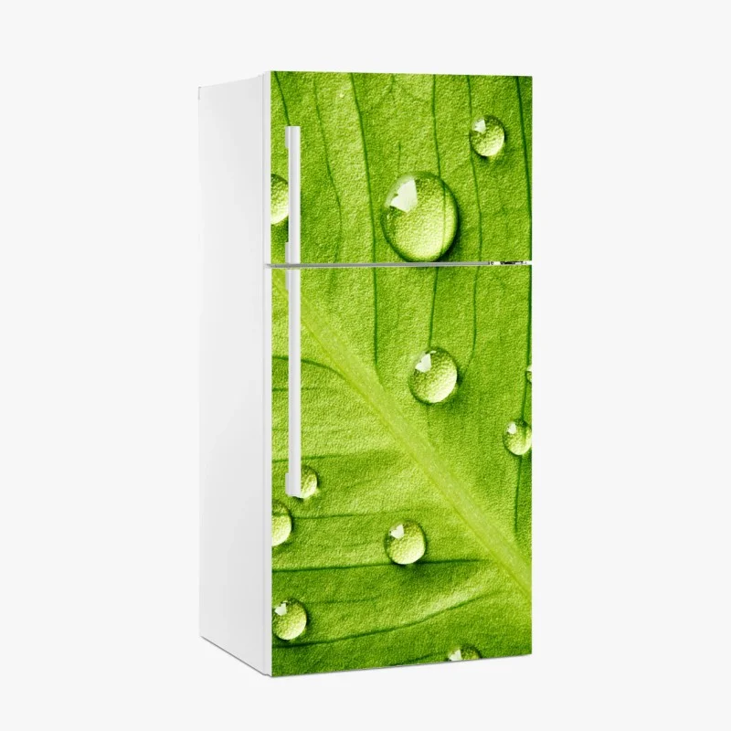 Adesivo per frigorifero foglia verde con gocce d'acqua