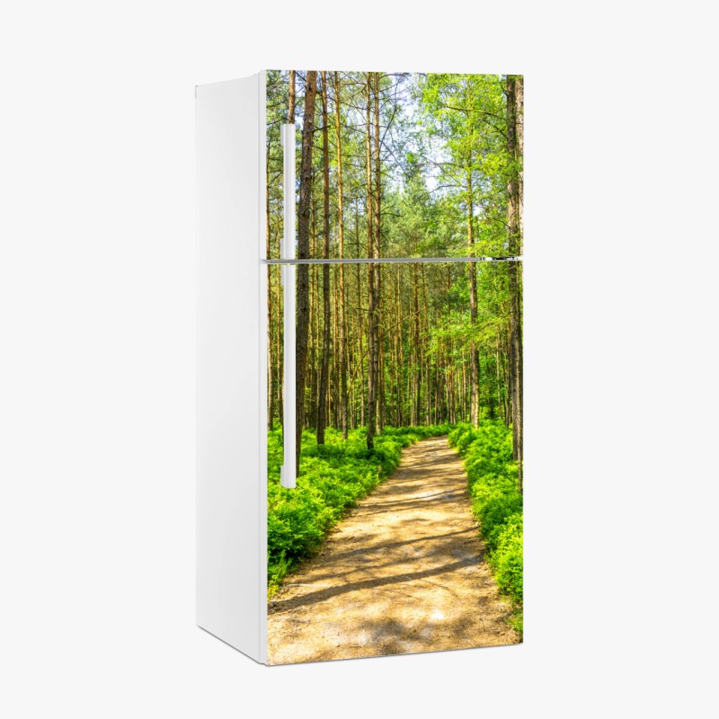 Adesivo per frigorifero sentiero silenzioso nella foresta di pini