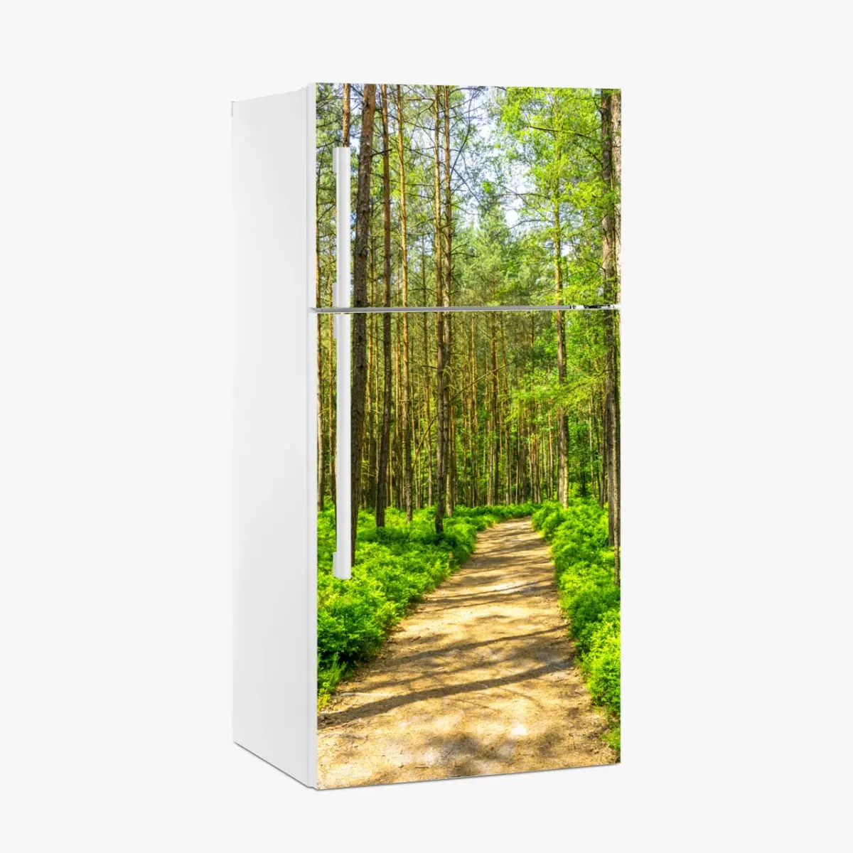 Adesivo per frigorifero sentiero silenzioso nella foresta di pini • Wallissimo®
