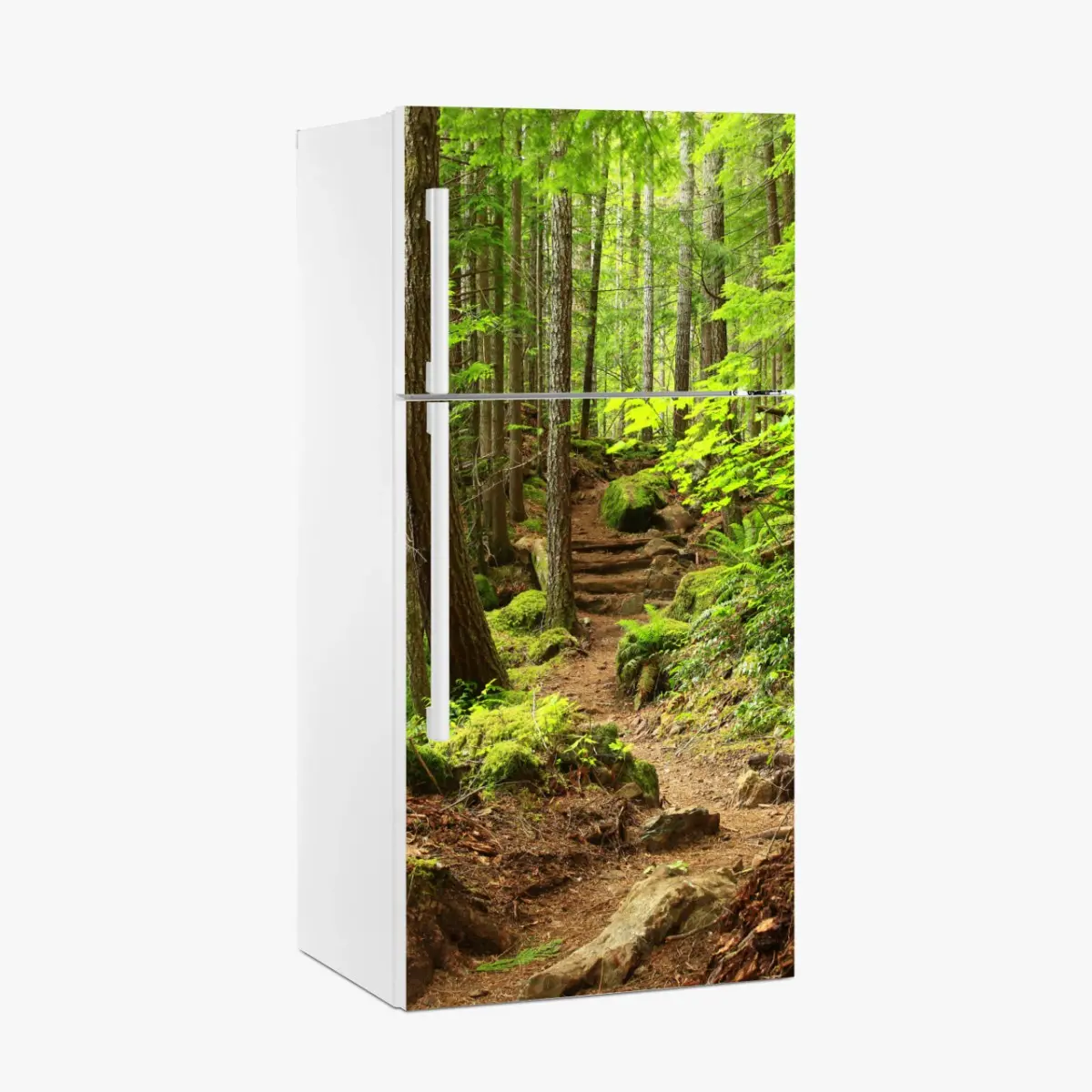Adesivo per frigorifero sentiero nella foresta verde • Wallissimo®