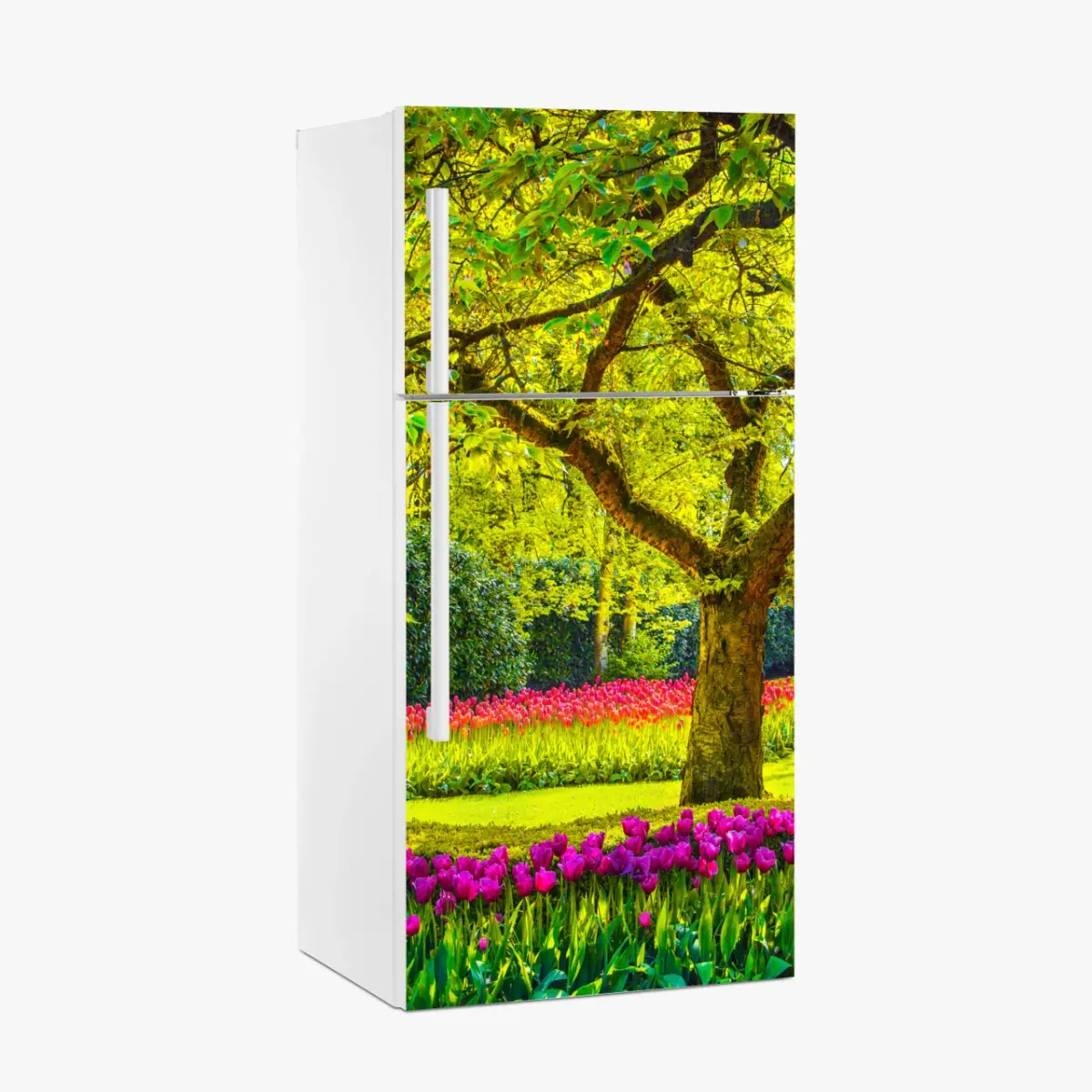 Adesivo per frigorifero giardino di tulipani primaverile a Keukenhof • Wallissimo®