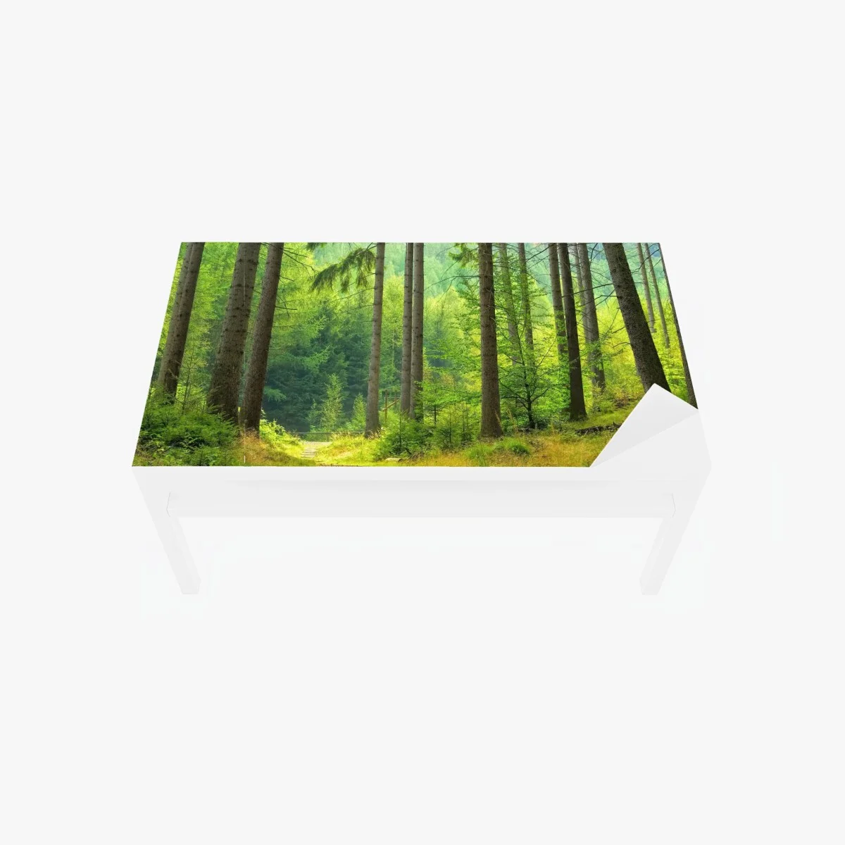 Adesivo per tavolo e scrivania sentiero di luce nella foresta • Wallissimo® Adesivo per tavolo e scrivania sentiero di luce nella foresta • Wallissimo®