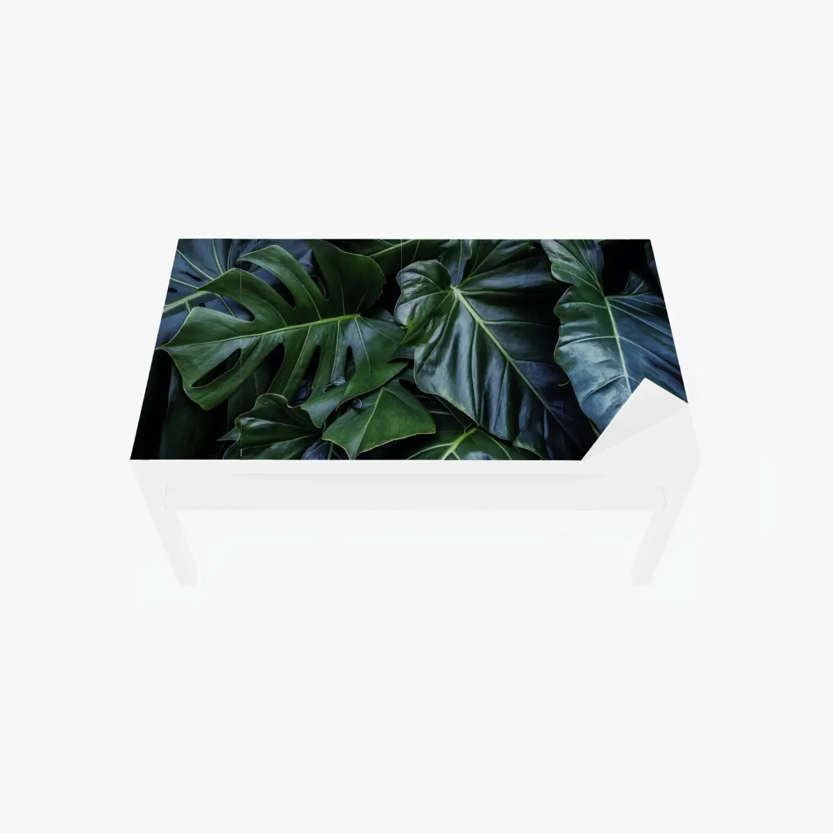 Adesivo per tavolo e scrivania fogliame tropicale verde smeraldo • Wallissimo®
