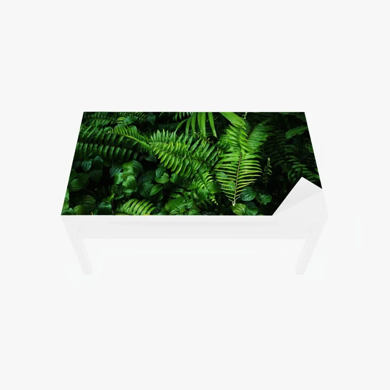 Adesivo per tavolo e scrivania parete verde di felci tropicali