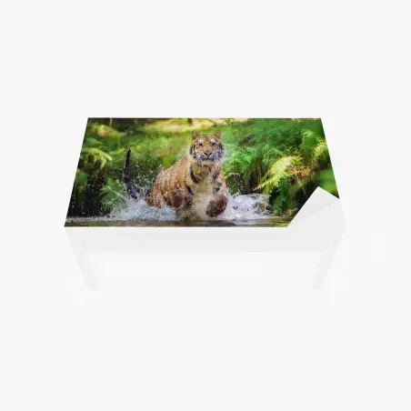 Adesivo per tavolo e scrivania tigre maestosa che attraversa l'acqua nella foresta • Wallissimo®