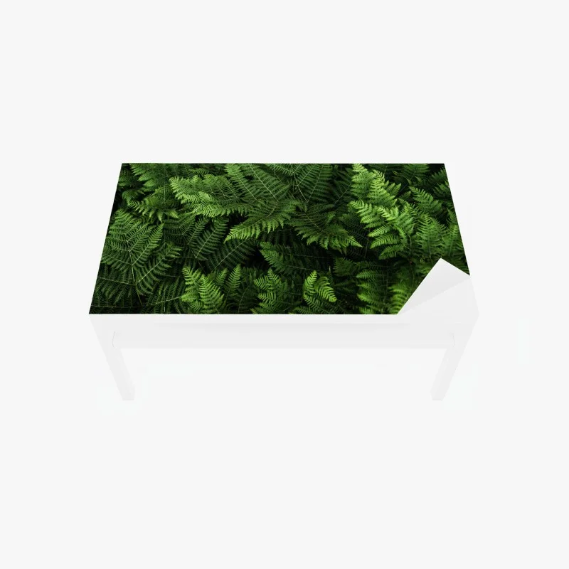 Adesivo per tavolo e scrivania tappeto di felci verdi