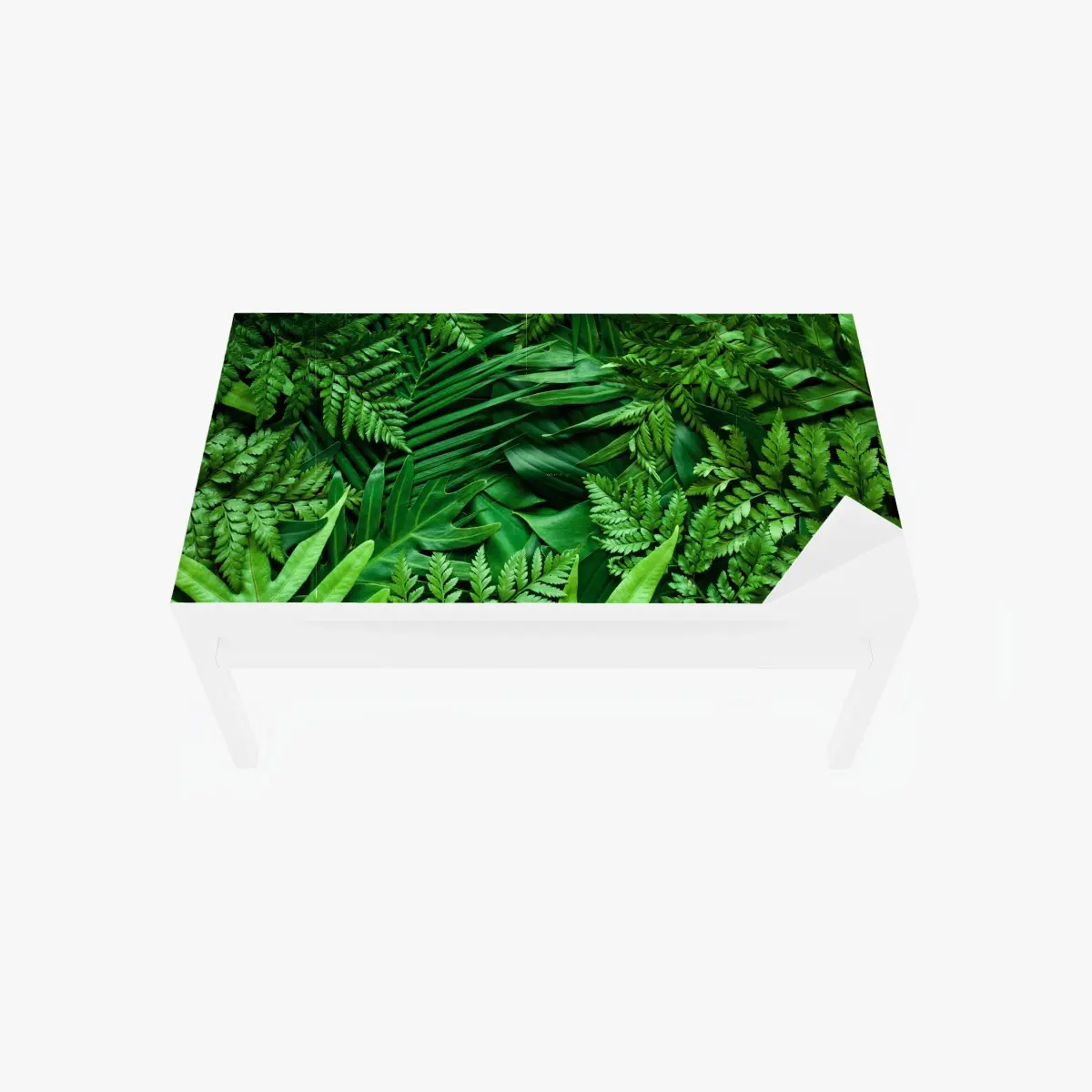 Adesivo per tavolo e scrivania motivo botanico di foglie tropicali • Wallissimo®