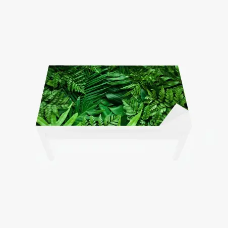 Adesivo per tavolo e scrivania motivo botanico di foglie tropicali • Wallissimo®
