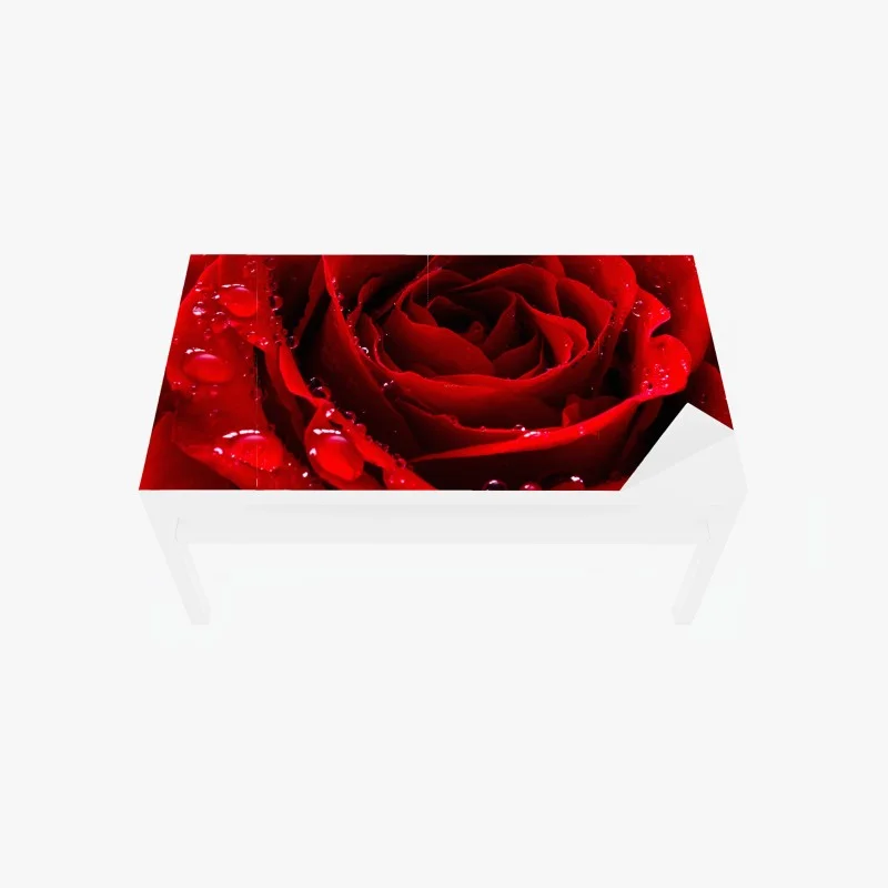 Adesivo per tavolo e scrivania rosa rossa in primo piano con gocce di rugiada