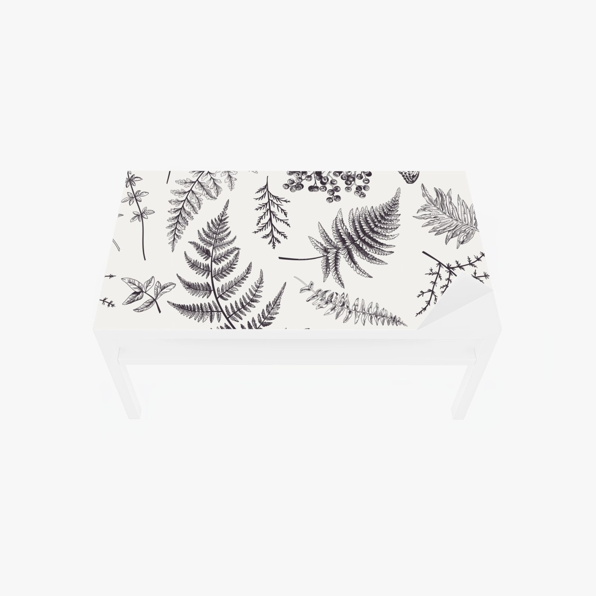 Adesivo per tavolo e scrivania eleganza botanica con felci e bacche • Wallissimo®