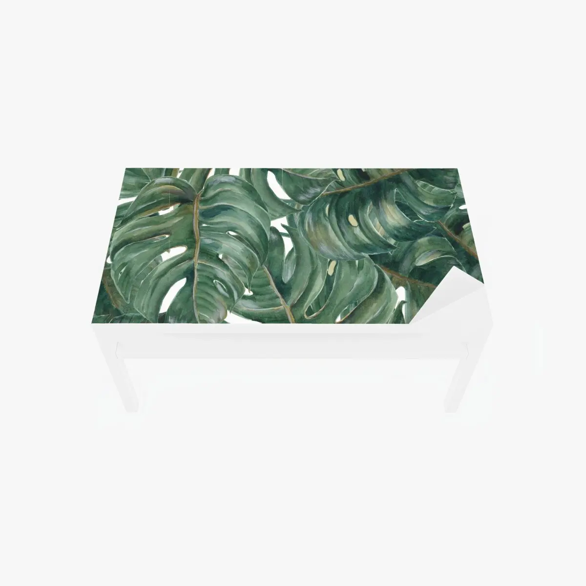 Adesivo per tavolo e scrivania motivo botanico di foglie di monstera • Wallissimo®