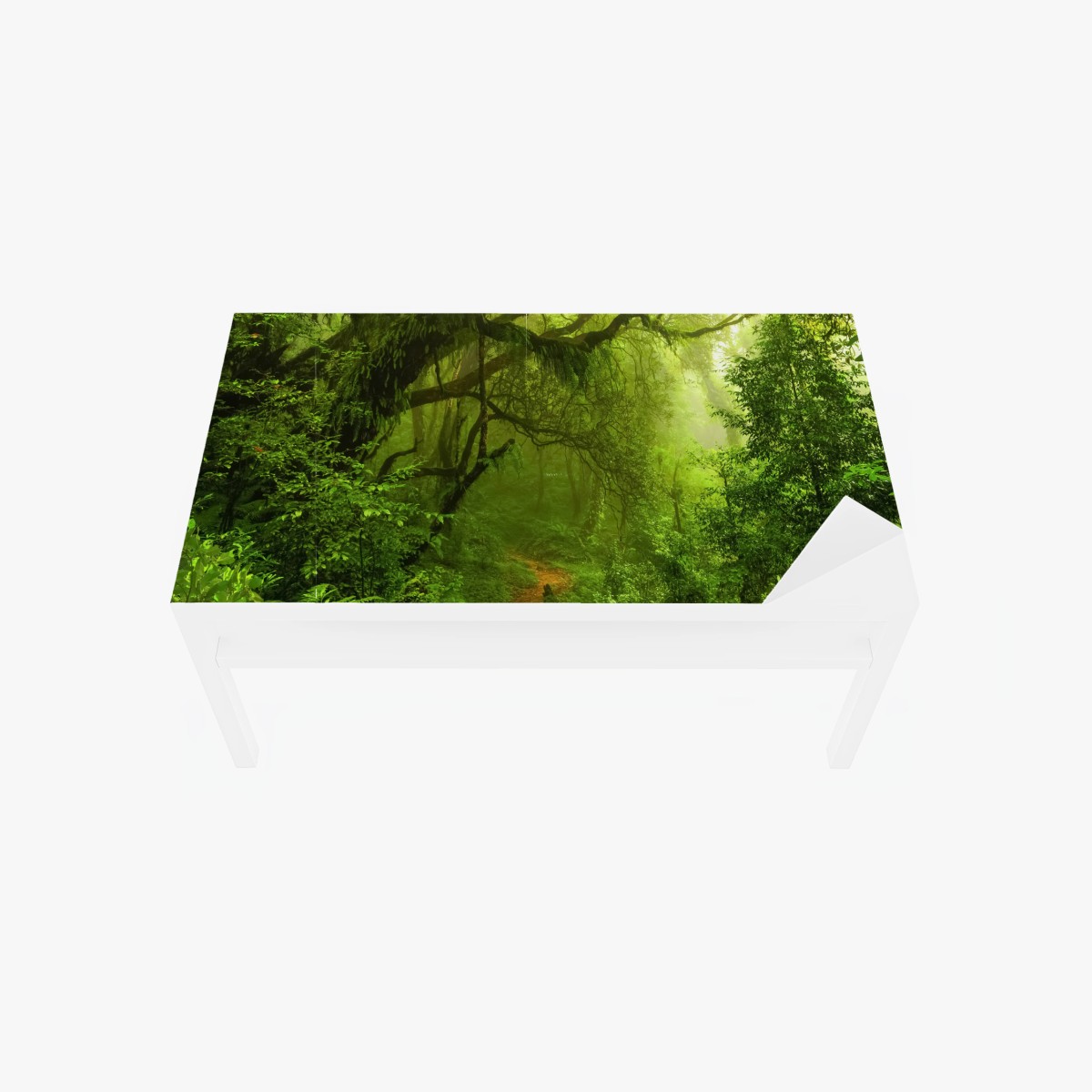 Adesivo per tavolo e scrivania sentiero incantato nella foresta pluviale • Wallissimo®