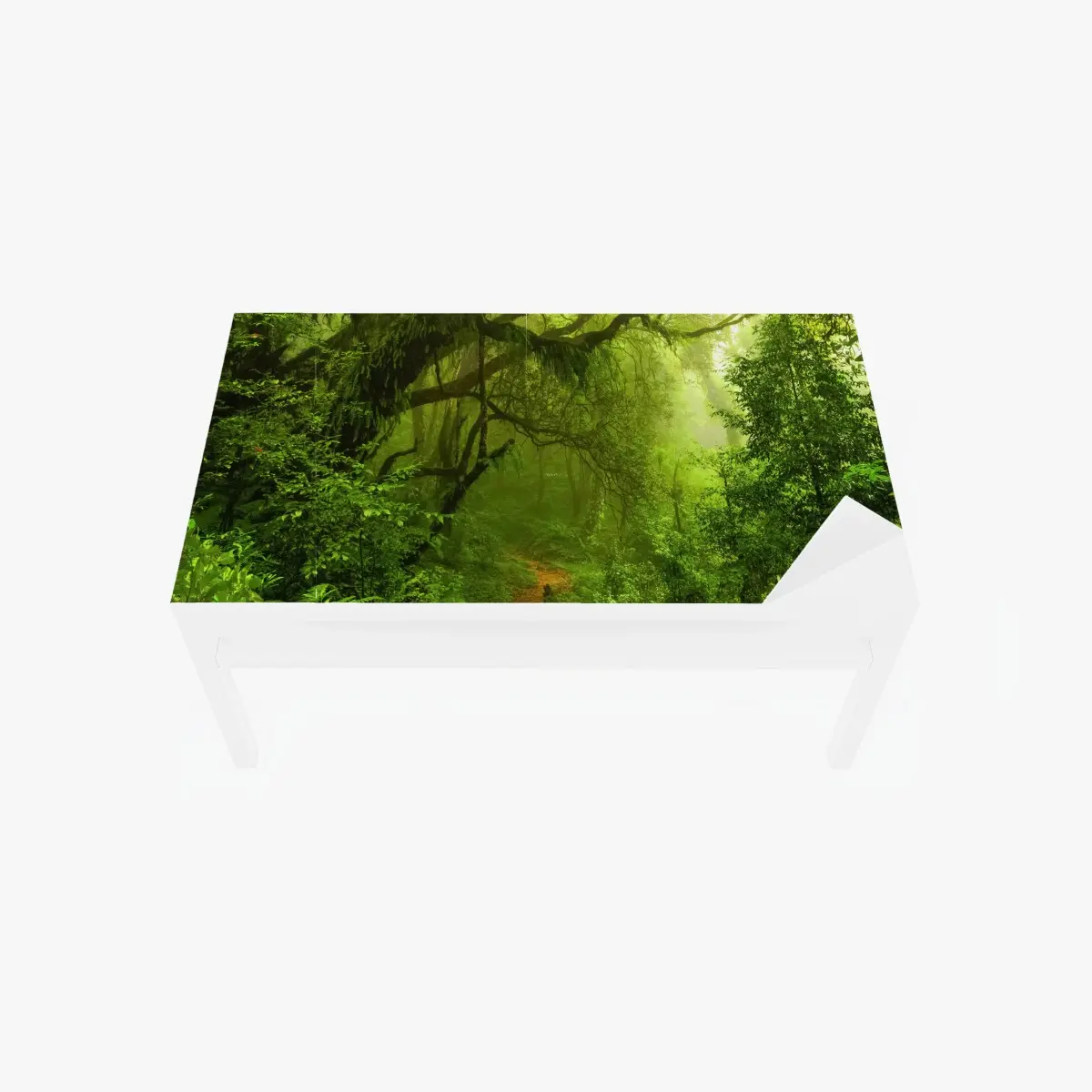 Adesivo per tavolo e scrivania sentiero incantato nella foresta pluviale • Wallissimo®