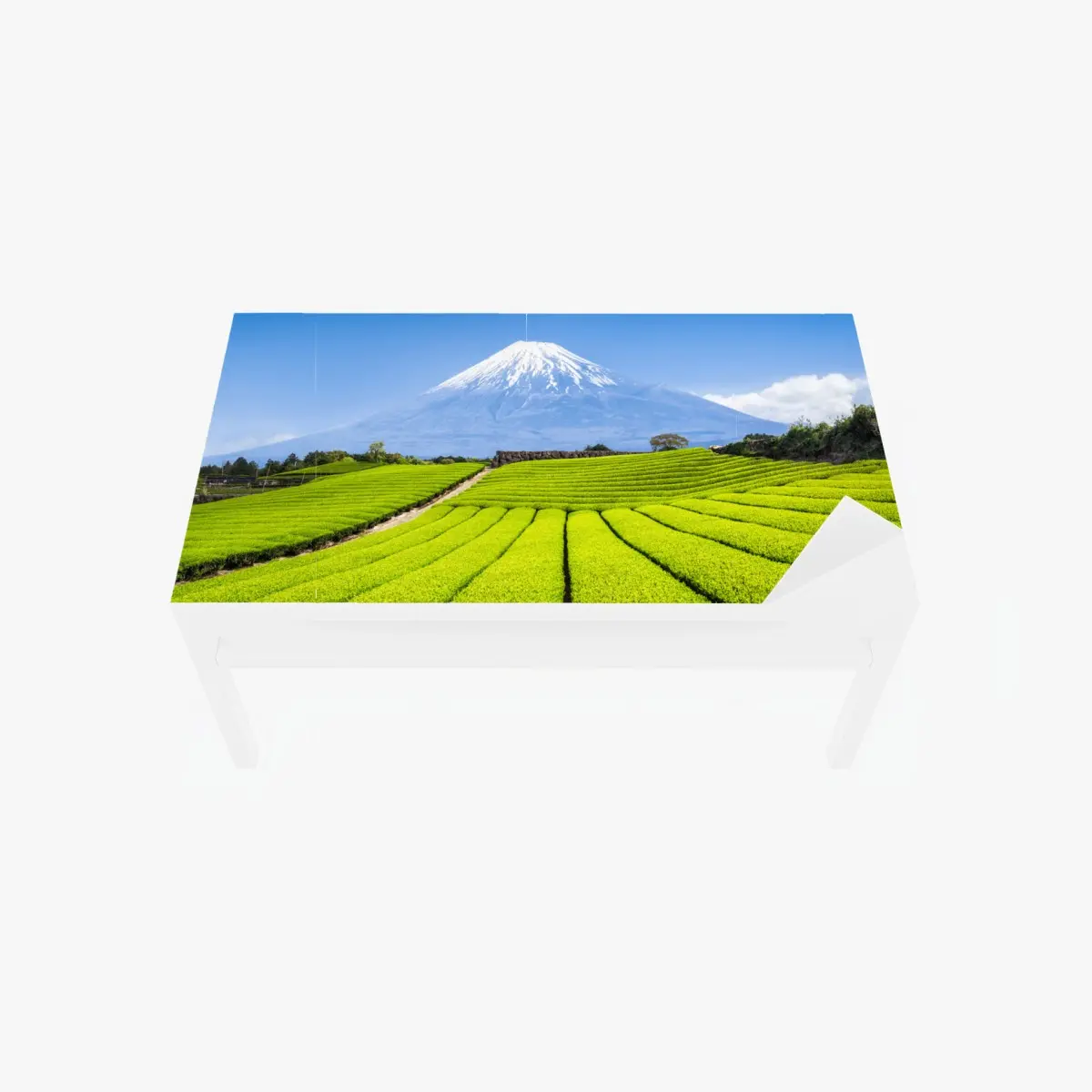 Adesivo per tavolo e scrivania paesaggio verde di Monte Fuji e campi di tè • Wallissimo®