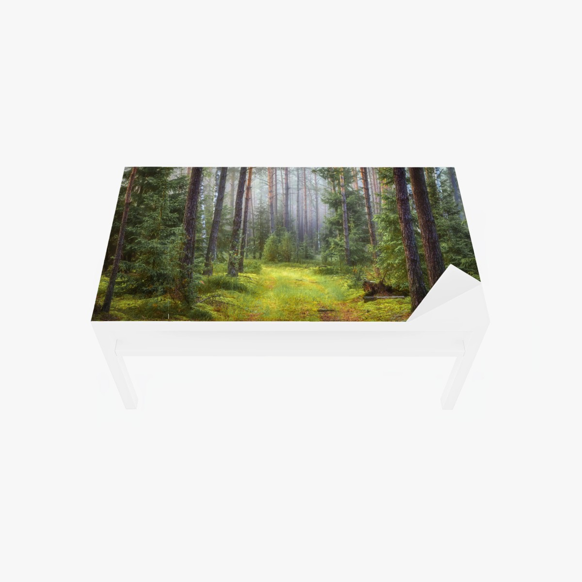 Adesivo per tavolo e scrivania rifugio di luce nella foresta • Wallissimo®