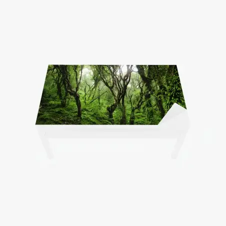 Adesivo per tavolo e scrivania foresta incantata di muschio e felci • Wallissimo®