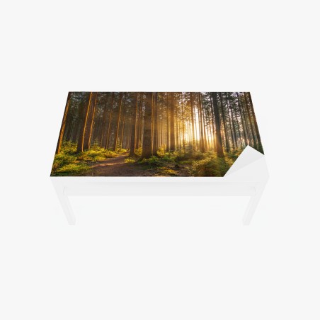 Adesivo per tavolo e scrivania rifugio di luce nella foresta • Wallissimo®