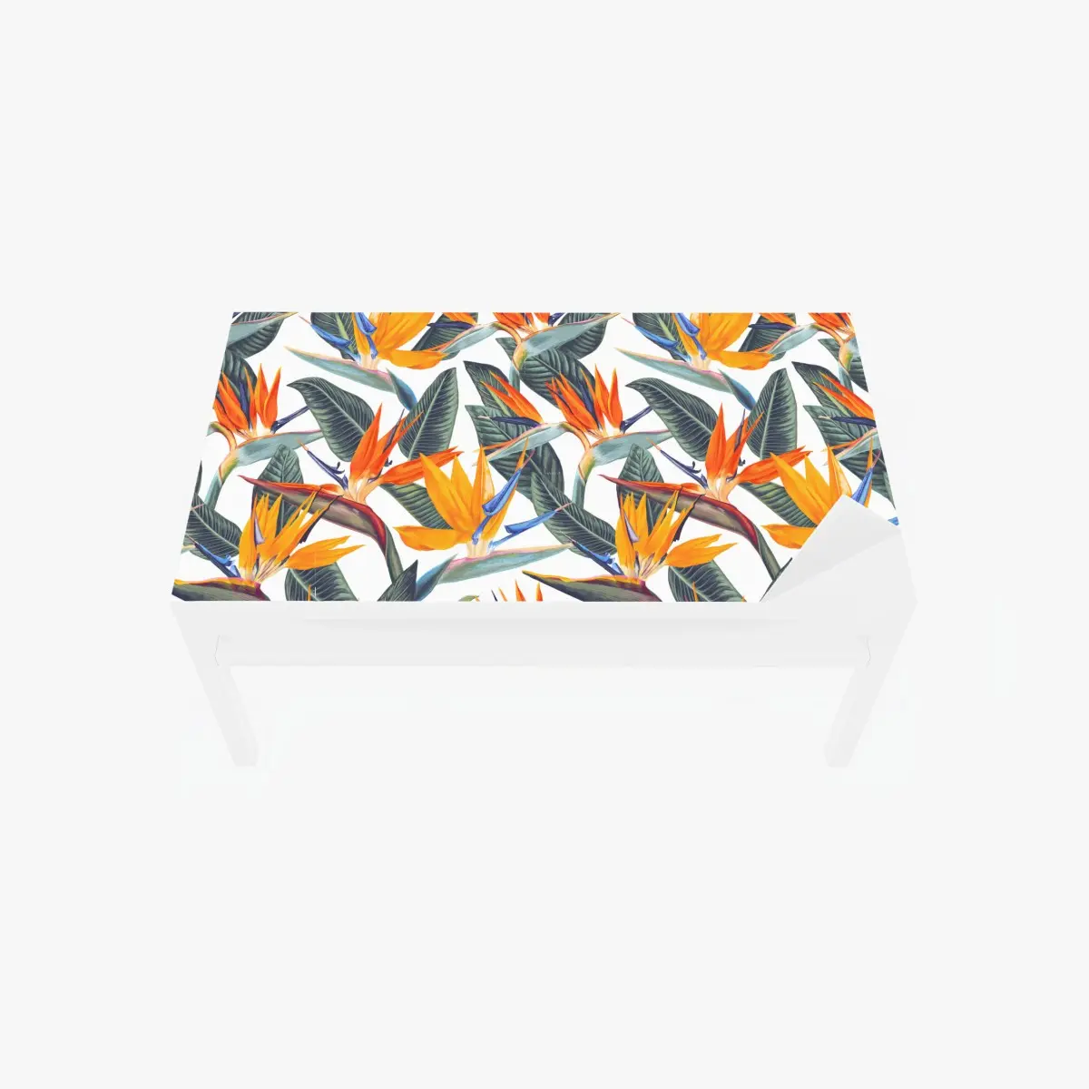 Adesivo per tavolo e scrivania motivo tropicale con uccelli del paradiso • Wallissimo®