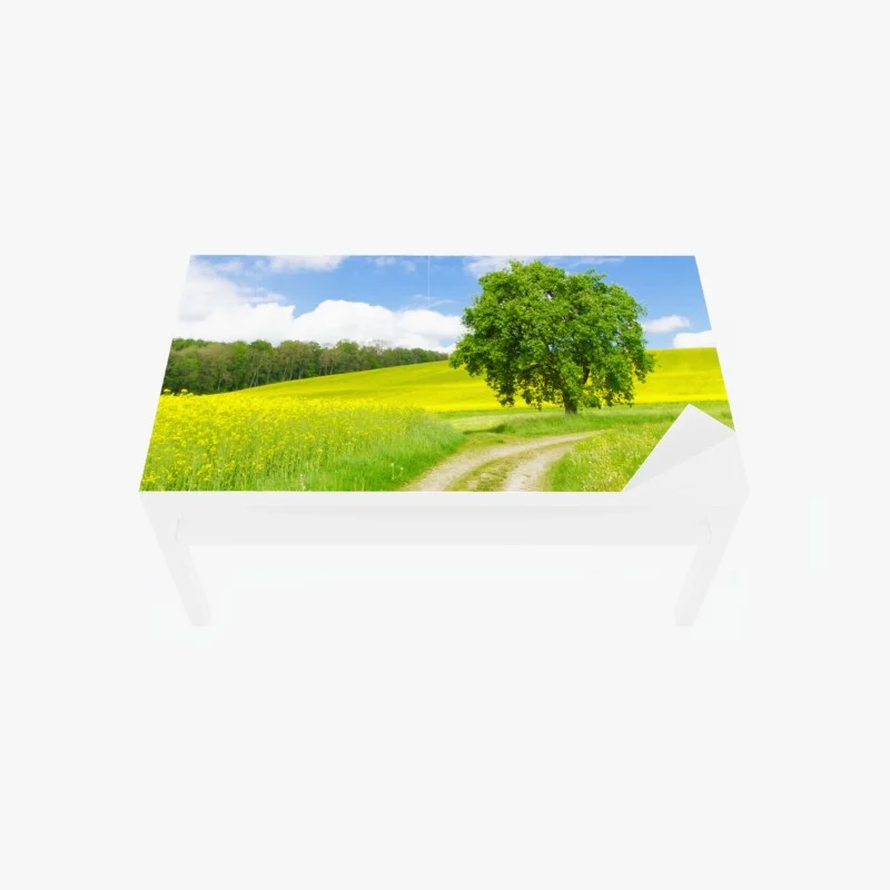 Adesivo per tavolo e scrivania paesaggio di campagna con albero solitario