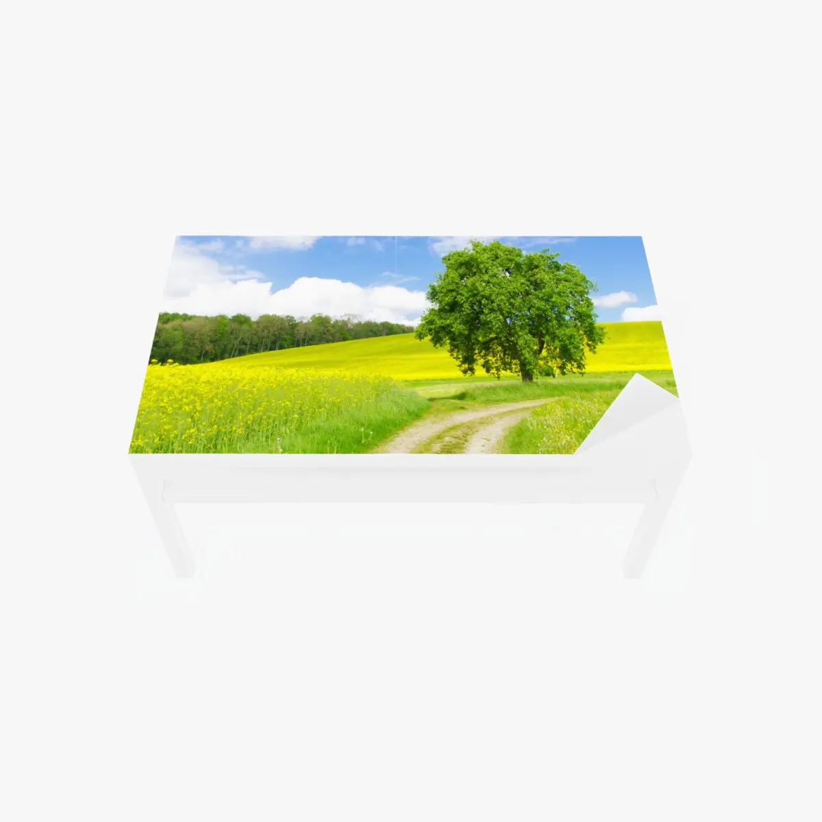 Adesivo per tavolo e scrivania paesaggio di campagna con albero solitario • Wallissimo®
