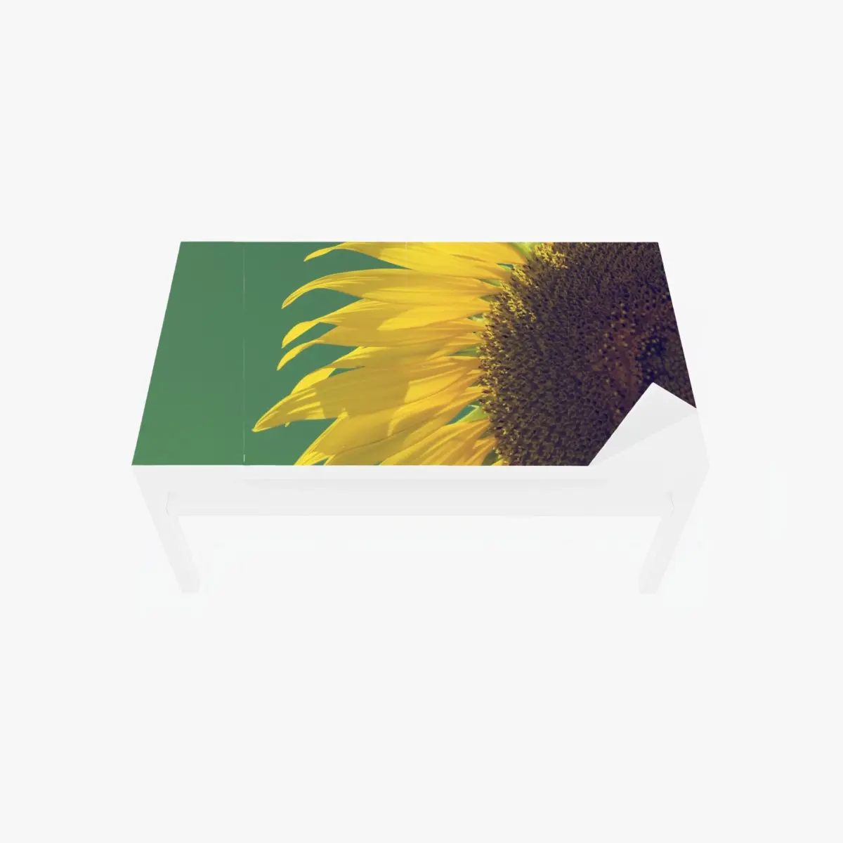 Adesivo per tavolo e scrivania girasole vintage su cielo verde • Wallissimo®