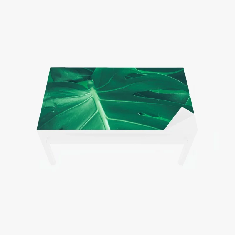 Adesivo per tavolo e scrivania elegante foglia di monstera su sfondo verde