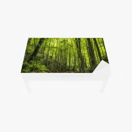 Adesivo per tavolo e scrivania torrente nel bosco primaverile • Wallissimo®