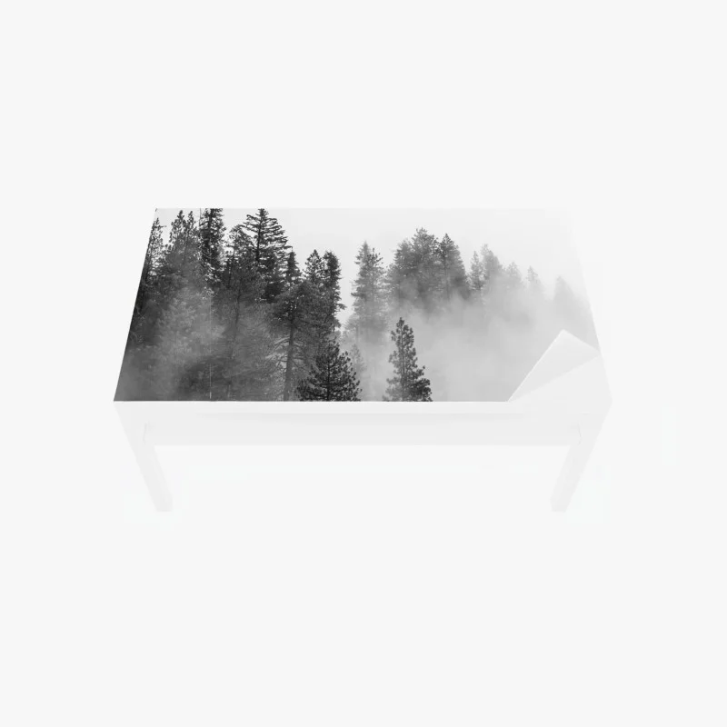 Adesivo per tavolo e scrivania nebbia tra le sequoie del Giant Forest, Sierra Nevada
