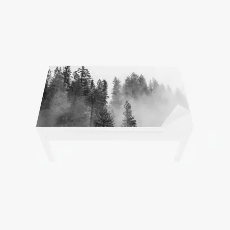Adesivo per tavolo e scrivania nebbia tra le sequoie del Giant Forest, Sierra Nevada • Wallissimo®