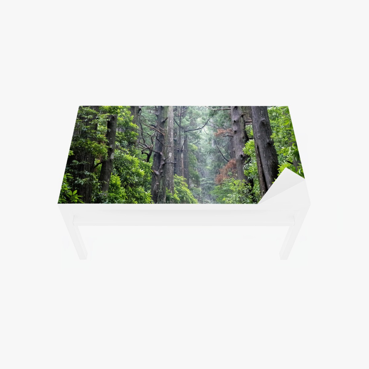 Adesivo per tavolo e scrivania sentiero silenzioso nella foresta secolare • Wallissimo®